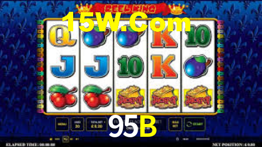 95B,95B CaSSino
